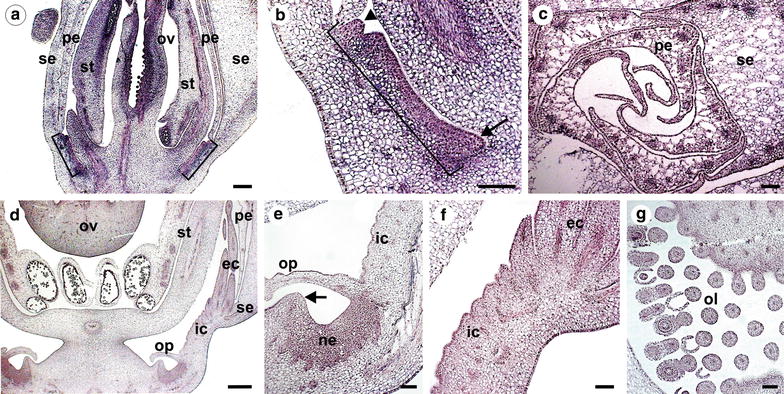 Fig. 7