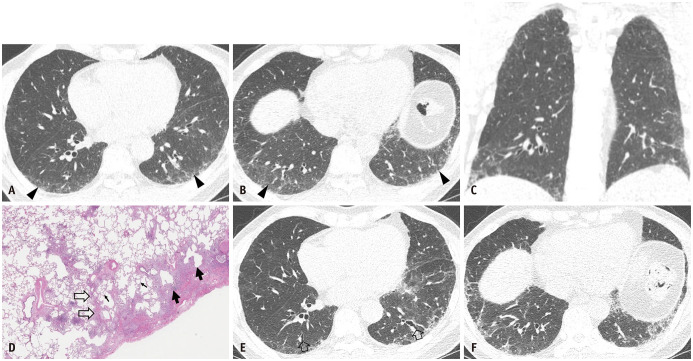 Fig. 5