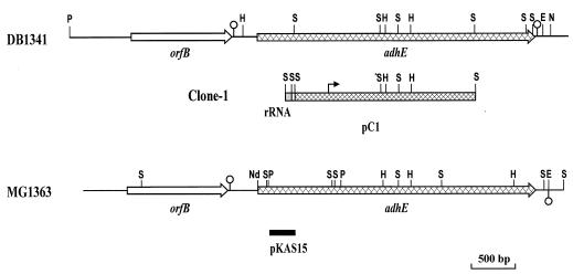 FIG. 1