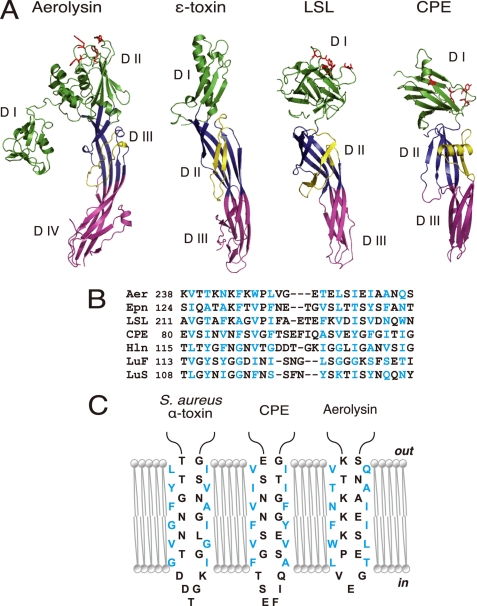 FIGURE 3.