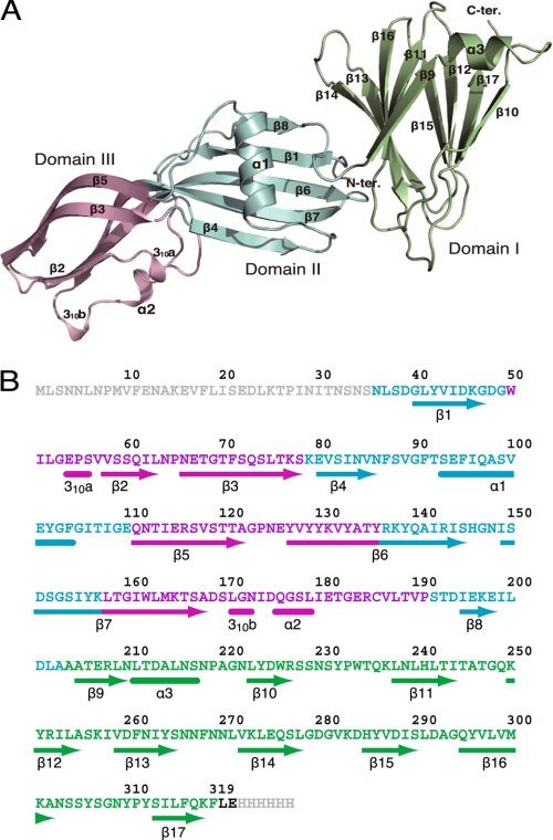 FIGURE 1.