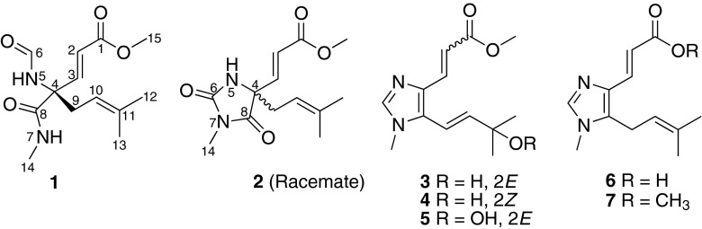 Fig. 1