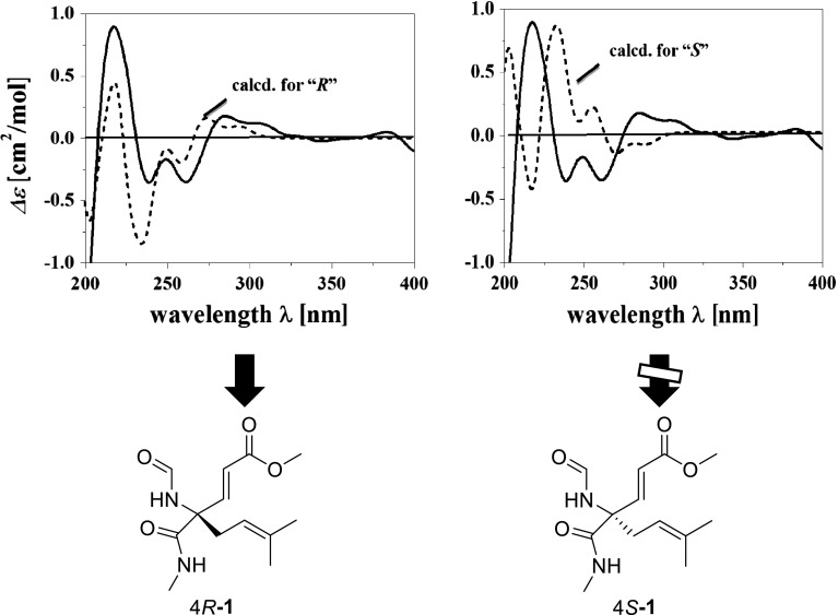 Fig. 2