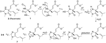 Scheme 1