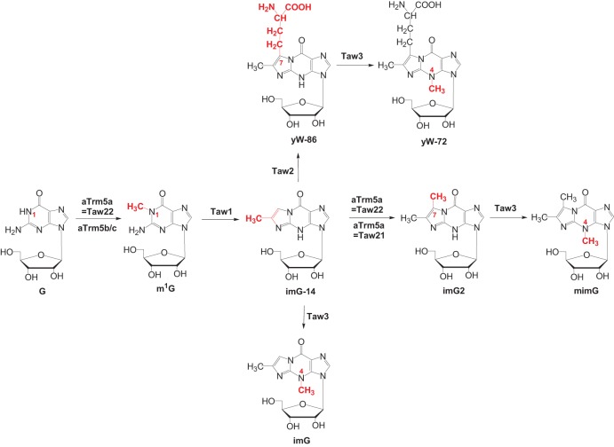 FIGURE 1.