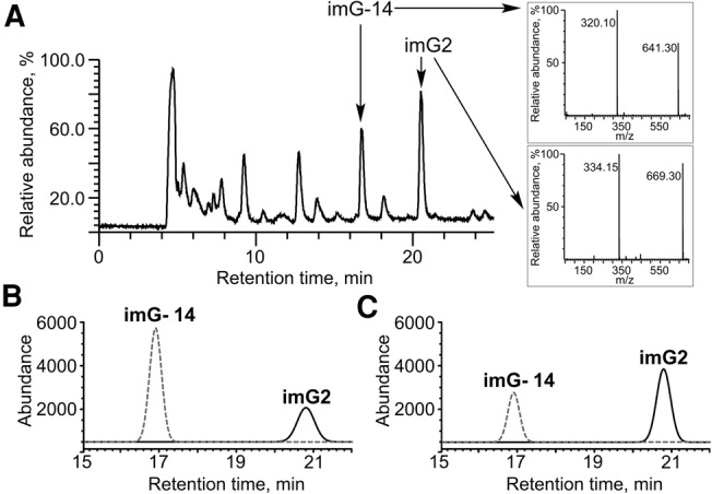 FIGURE 4.