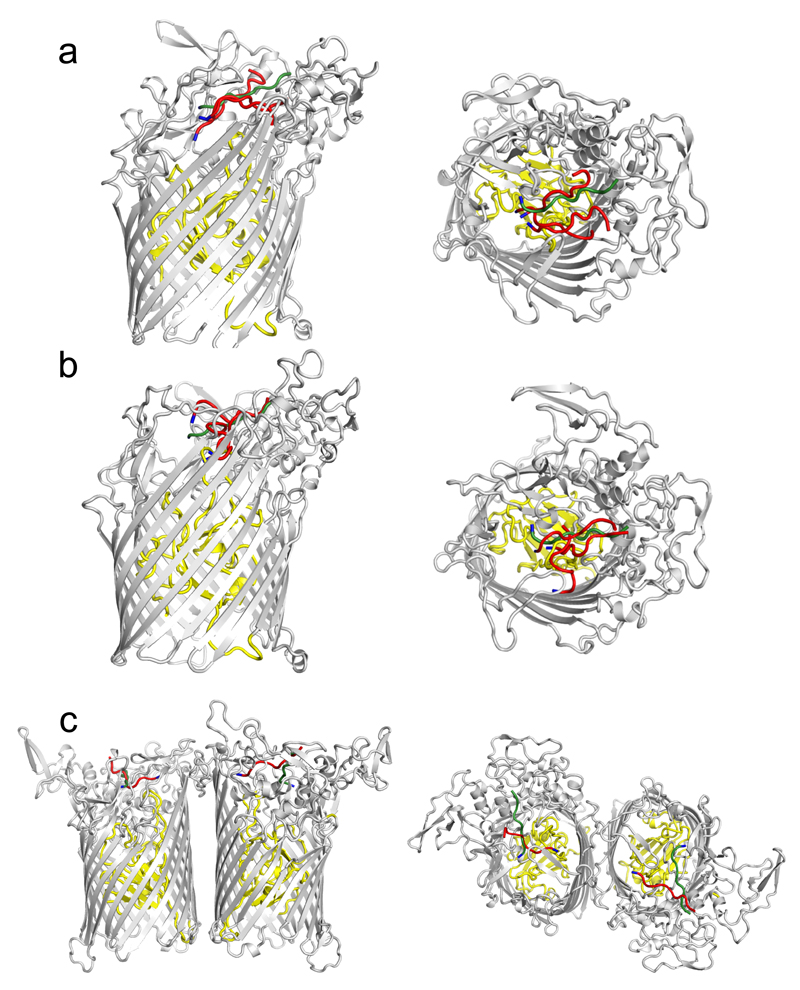 Extended Data Fig. 7