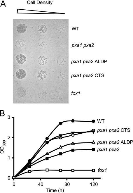 FIGURE 6.