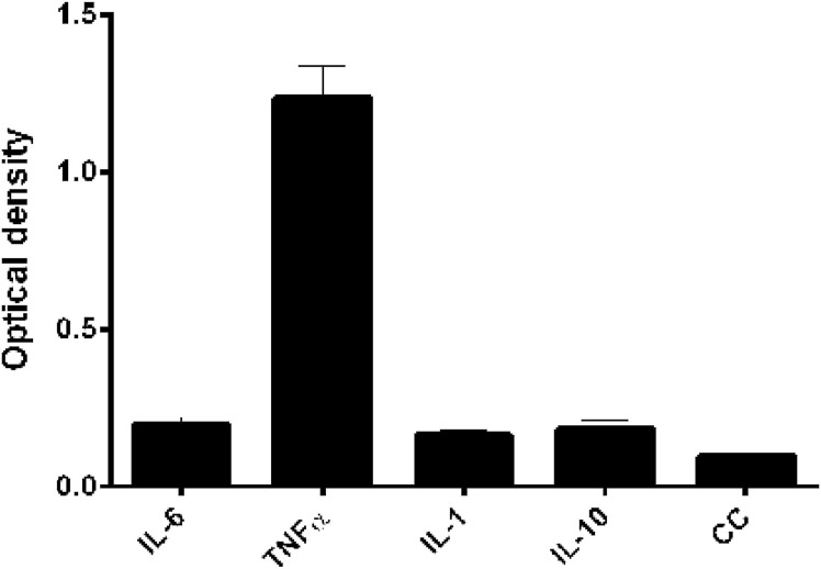 Fig. 3