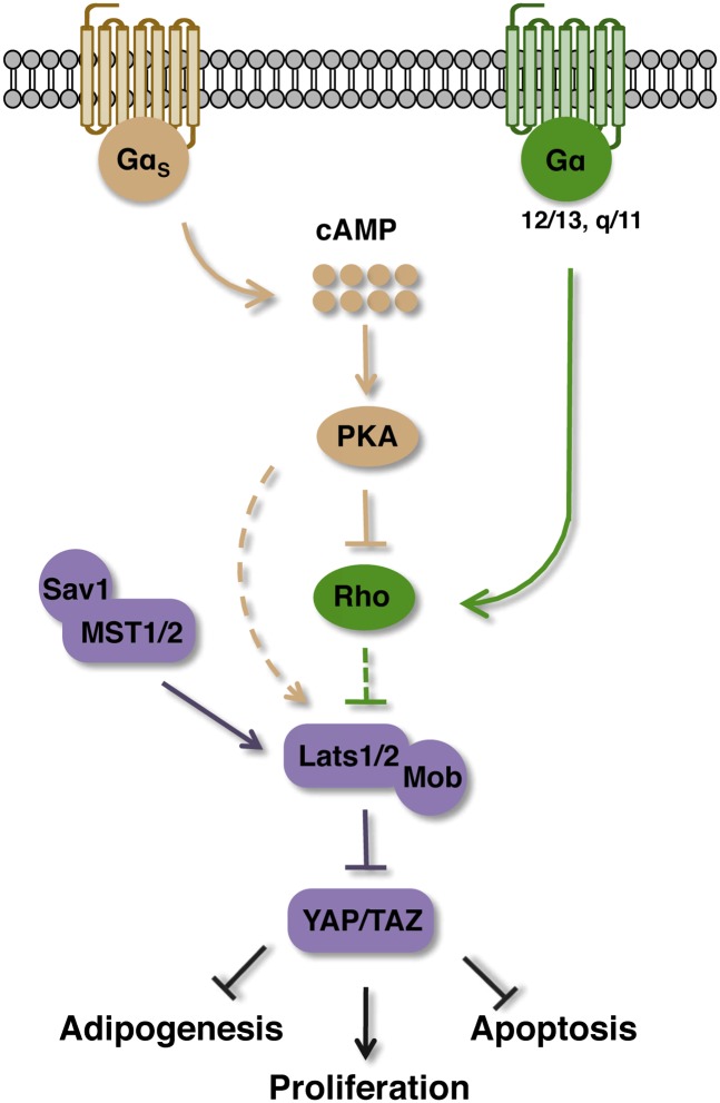 Figure 7.