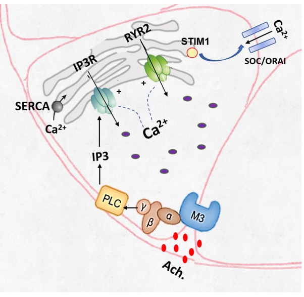 Figure 1.