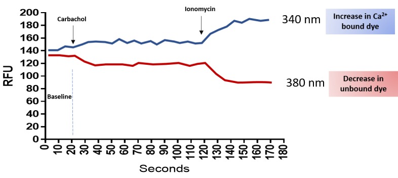 Figure 5.