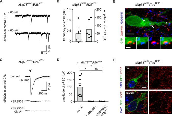 Figure 2—figure supplement 1.