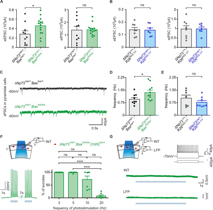 Figure 4—figure supplement 1.