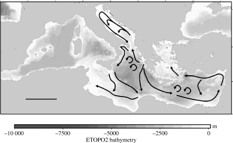 Figure 5.