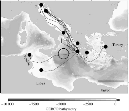 Figure 1.