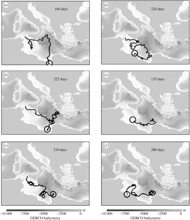 Figure 4.