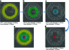 FIG. 4.