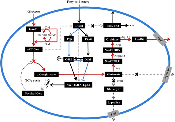 Fig. 1