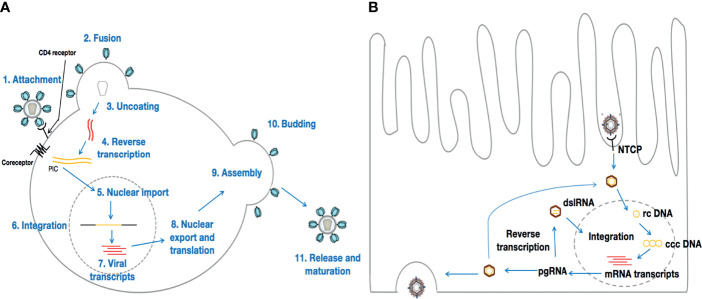 Figure 1