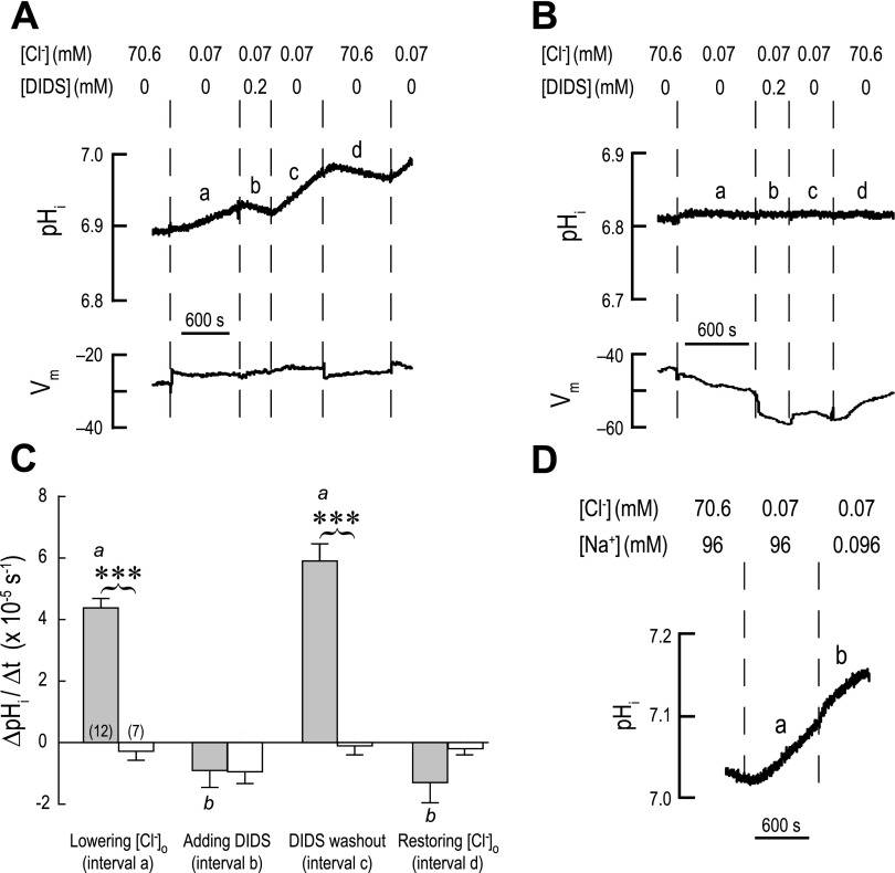 Fig. 12.