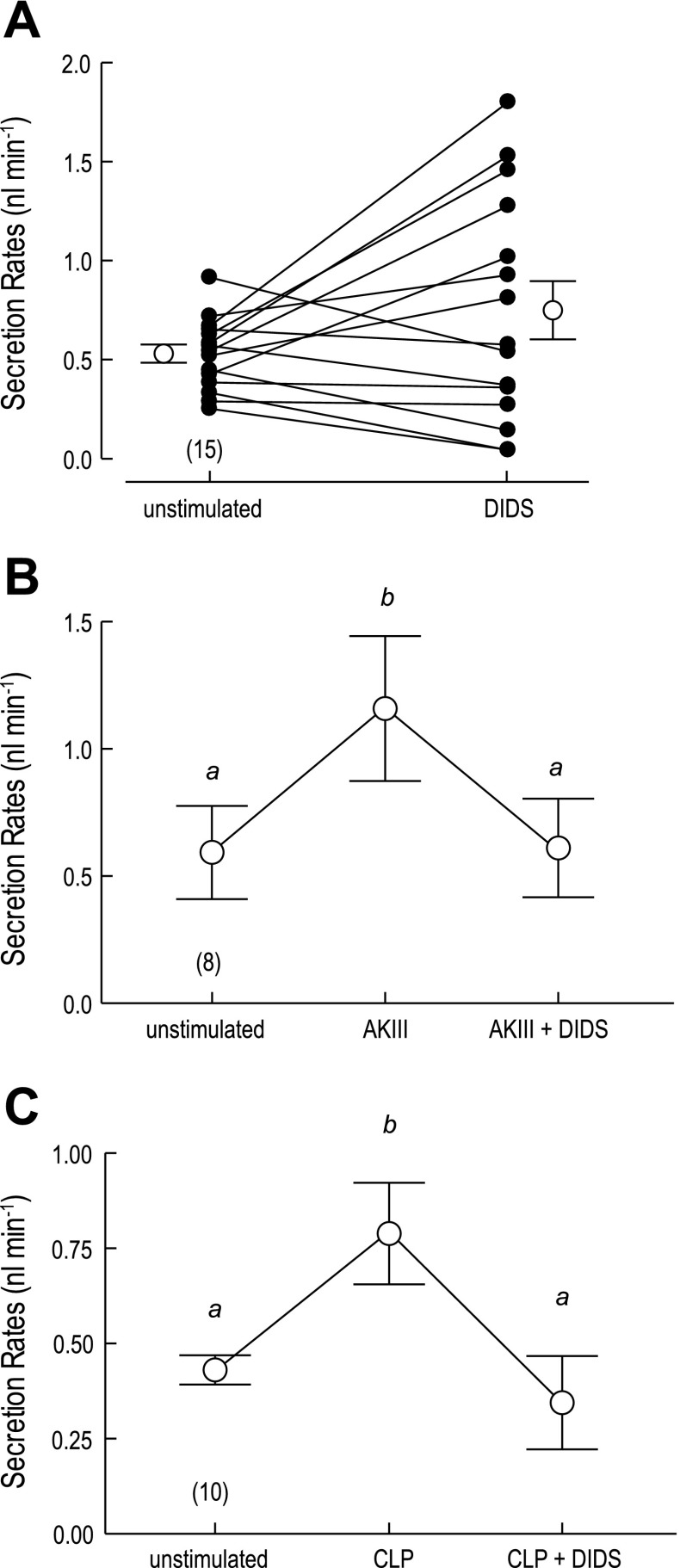 Fig. 13.