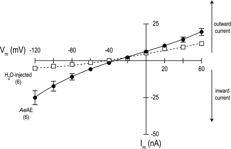 Fig. 11.