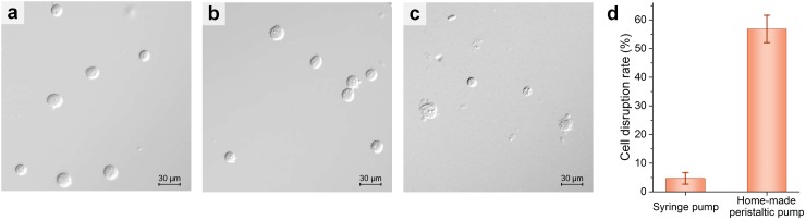 FIG. 6.