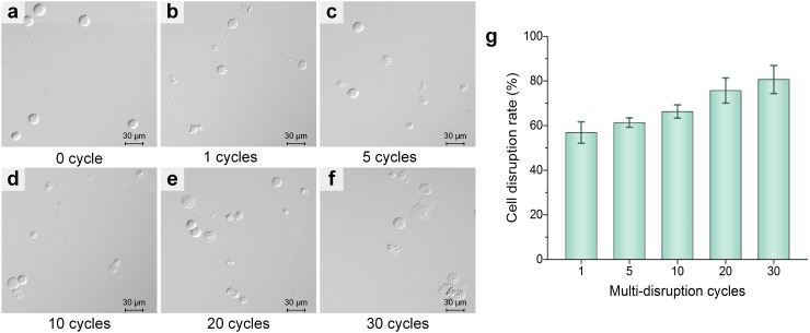 FIG. 7.