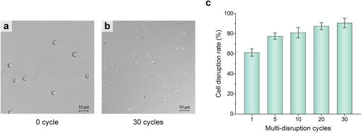 FIG. 8.