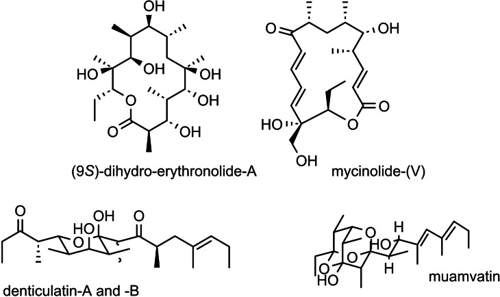 Scheme 37