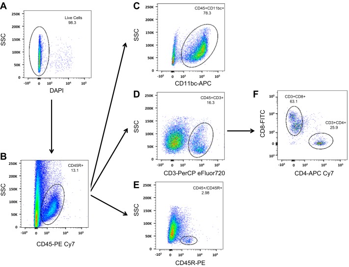 Fig. 3.