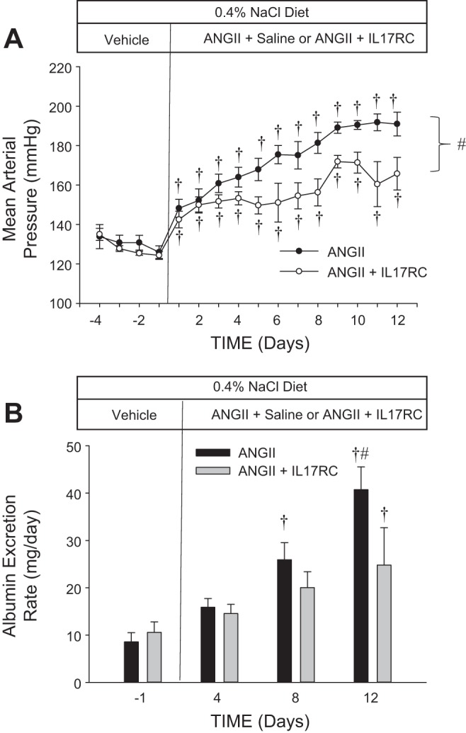 Fig. 9.