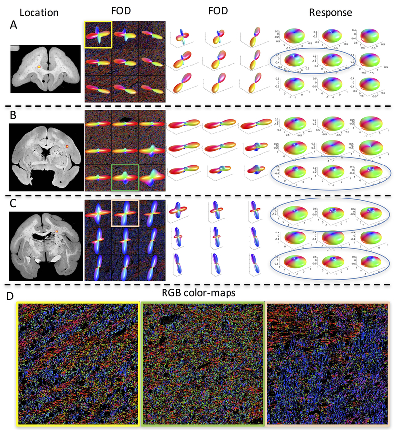 Figure 10.