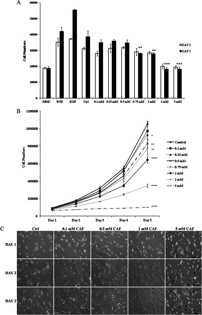 IWJ-12327-FIG-0001-b