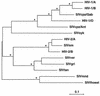 FIG. 6
