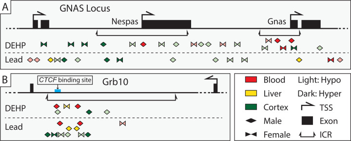 Figure 7: