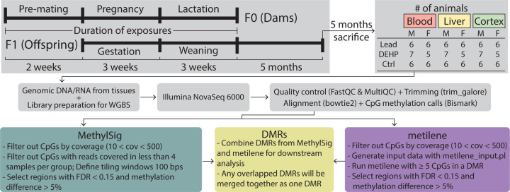 Figure 1: