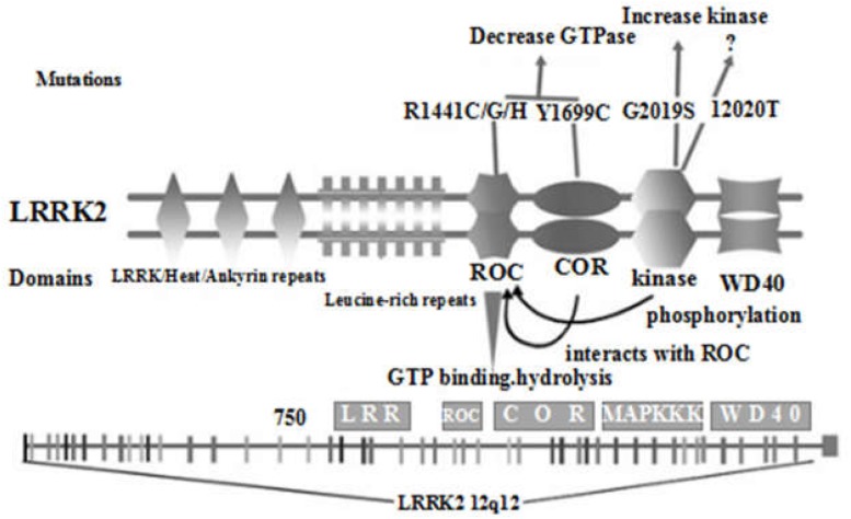 FIGURE 1