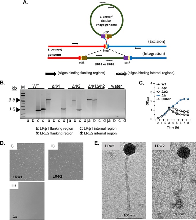 FIG 2