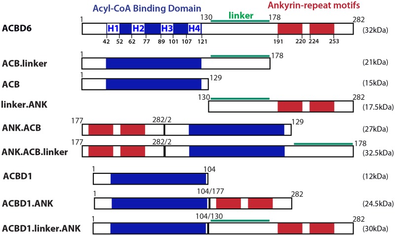 Fig 1