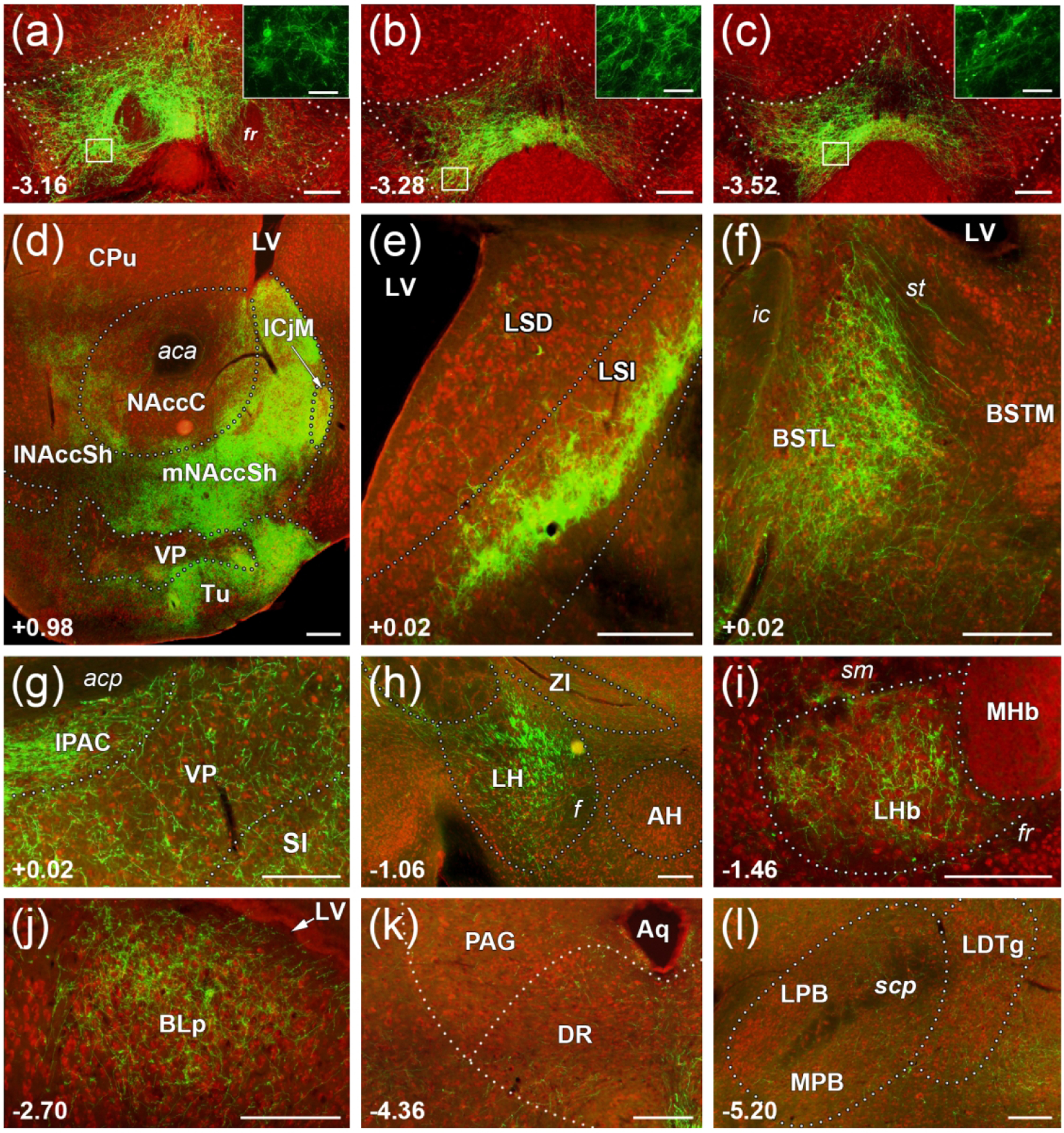 Figure 3.