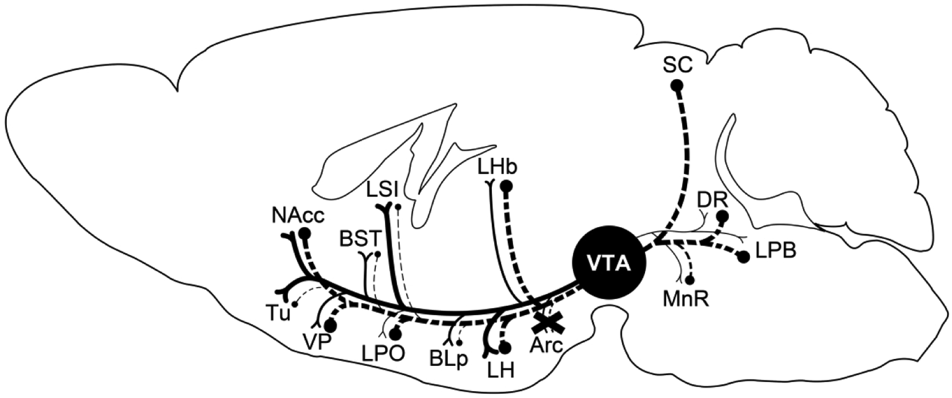 Figure 11.