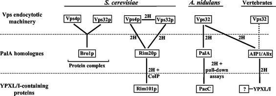 FIG. 8.