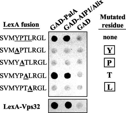 FIG. 7.