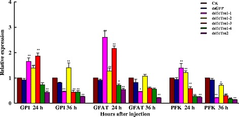 Fig. 7