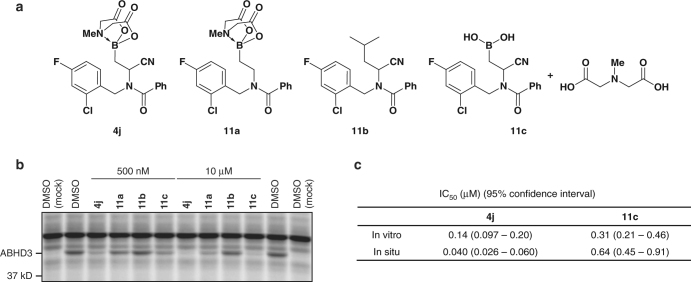 Fig. 6