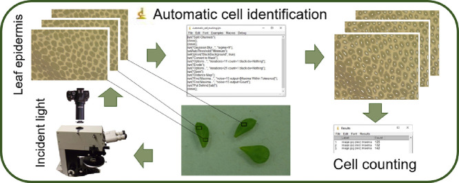 Image, graphical abstract