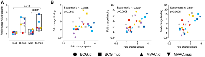 Figure 6