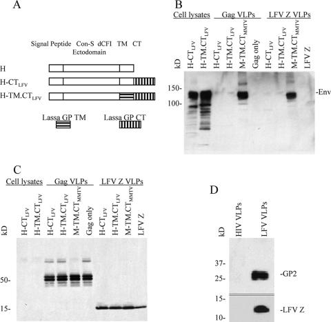 FIG. 5.